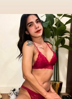 Nisa - Acompañantes transexual in Khobar Photo 2 of 7