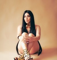 Nisren - Transsexual escort in Montreal