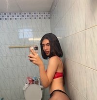 Nisrine Ts69 - Transsexual escort in Pattaya