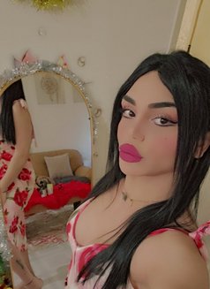 Nissan - Transsexual escort in Beirut Photo 1 of 1