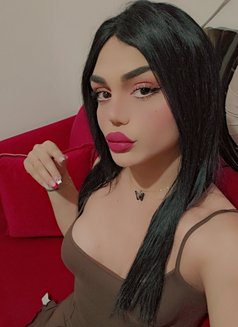 Nissan - Transsexual escort in Beirut Photo 8 of 19