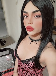 Nissan - Transsexual escort in Beirut Photo 12 of 19