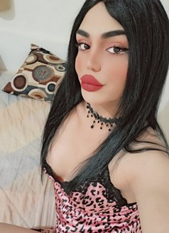 Nissan - Transsexual escort in Beirut Photo 13 of 19