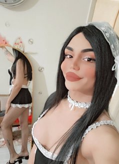 Nissan - Transsexual escort in Beirut Photo 18 of 19