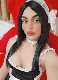 Nissan - Transsexual escort in Beirut Photo 19 of 19