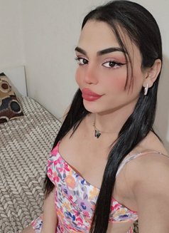 Nissan - Transsexual escort in Beirut Photo 22 of 26