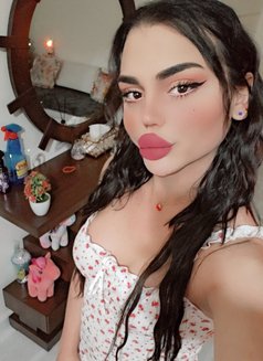 Nissan - Transsexual escort in Beirut Photo 20 of 22