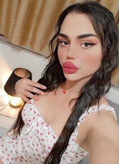 Nissan - Transsexual escort in Beirut Photo 21 of 22