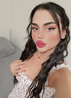 Nissan - Transsexual escort in Beirut Photo 22 of 22