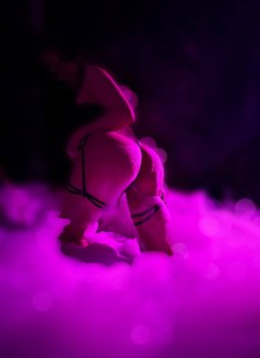 Nita - escort in Belgrade Photo 5 of 22