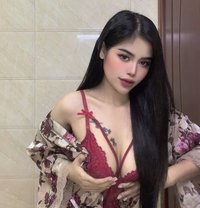Nita small lady good service bousher - escort in Muscat