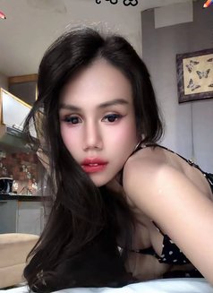 Nitaambyar69 - Transsexual escort in Bali Photo 10 of 14