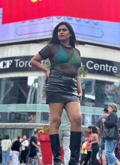 Samantha south india's Model - Transsexual escort in Toronto Photo 10 of 17