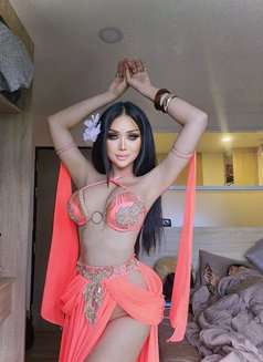 NO.1 MUNA Hot ladyboy 69 شرسة وناعمة - Transsexual escort in Phuket Photo 7 of 22