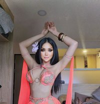 NO.1 MUNA Hot ladyboy 69 شرسة وناعمة - Acompañantes transexual in Phuket