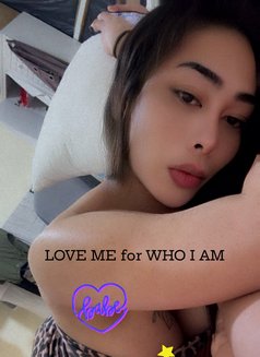 NO REGRETS! CHOOSE ME - Acompañantes transexual in Ajmān Photo 10 of 11