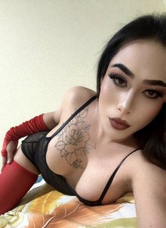 Ladyboy TOP BOTTOM - Transsexual escort in Ajmān Photo 1 of 12