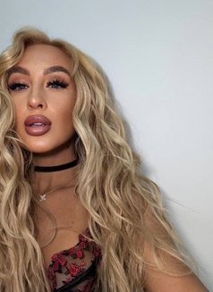 Noah 🩵 - puta in Beirut Photo 11 of 14