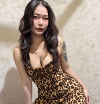 Noah - escort in Dubai