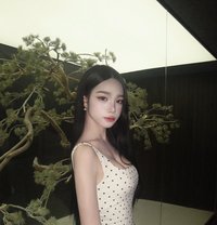 Nobels - Young sweetie princess 🇹🇭 - Acompañantes transexual in Bangkok Photo 30 of 30