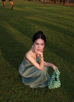 Nobels - Young sweetie princess 🇹🇭 - Acompañantes transexual in Bangkok Photo 28 of 28