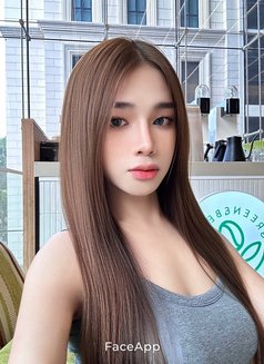 Nobelsbeis - Transsexual escort in Bangkok Photo 14 of 29