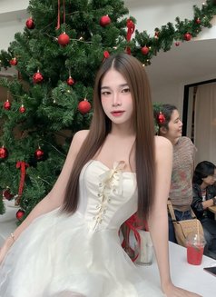 Nobelsbeis - Transsexual escort in Bangkok Photo 19 of 29