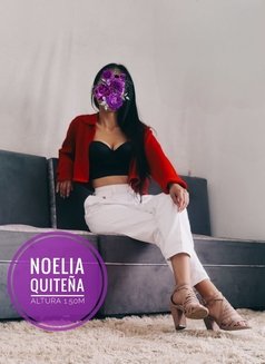Noelia - puta in Quito Photo 1 of 4