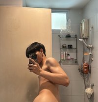 None - Transsexual escort in Al Manama