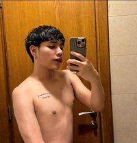 None - Transsexual escort in Al Manama