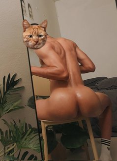 None - Transsexual escort in Al Manama Photo 6 of 6