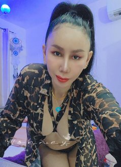 Nonney Therapist Massage & Nuru Erotic - puta in Muscat Photo 21 of 24