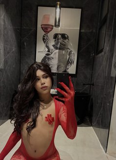 Nono - Male escort in Riyadh Photo 1 of 6