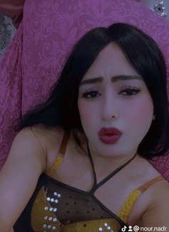 Nooor - escort in Cairo Photo 1 of 1