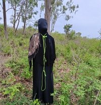 Noor Begum - Transsexual escort in Mysore