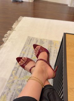 Noor Pakistani Beauty in Jvc - escort in Dubai Photo 1 of 10