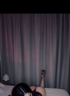 Noor - escort in Dubai Photo 16 of 19