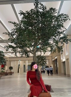 Noor ViP - escort in Dubai Photo 7 of 14