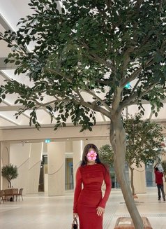 Noor ViP - escort in Dubai Photo 8 of 14