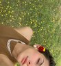 Nora Famboy - Acompañantes transexual in New Delhi Photo 11 of 11