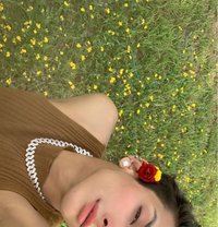 Nora Famboy - Transsexual escort in New Delhi