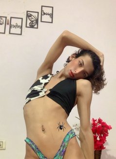 Nora Famboy - Transsexual escort in New Delhi Photo 9 of 9