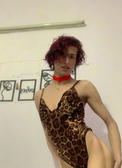 Nora Famboy - Acompañantes transexual in New Delhi Photo 10 of 10
