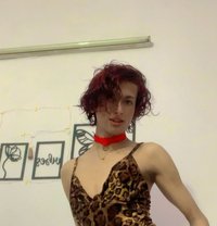 Nora Famboy - Transsexual escort in New Delhi