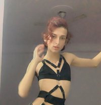 Nora Famboy - Transsexual escort in New Delhi