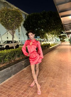 Nora Famboy - Transsexual escort in New Delhi Photo 20 of 20