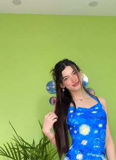 Nora Famboy - Transsexual escort in New Delhi Photo 29 of 30