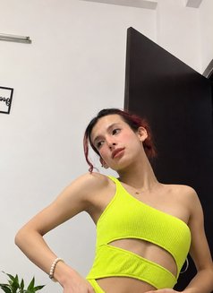 Nora Famboy - Acompañantes transexual in New Delhi Photo 21 of 24