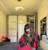 Nora new in Bahrain XLll hot girl - Acompañantes transexual in Al Manama Photo 9 of 10