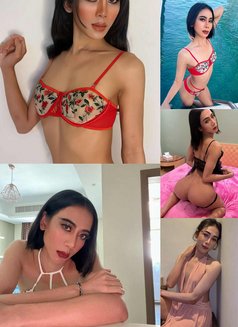 Norah Big Cock with Popper🇹🇭 - Transsexual escort in Al Manama Photo 15 of 15